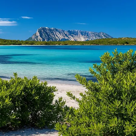 Matilda's House At San Teodoro מונטה פטרוסו